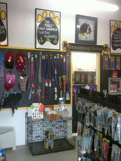 The Pampered Paws store - everything for your pet. 